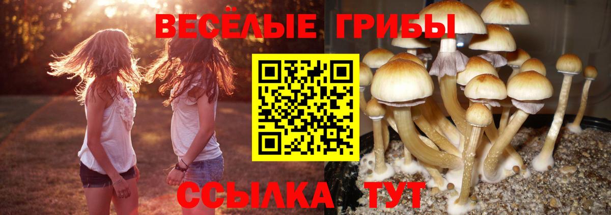 Ижевск  Псилоцибиновые грибы прущие грибы  Вход с VPN 