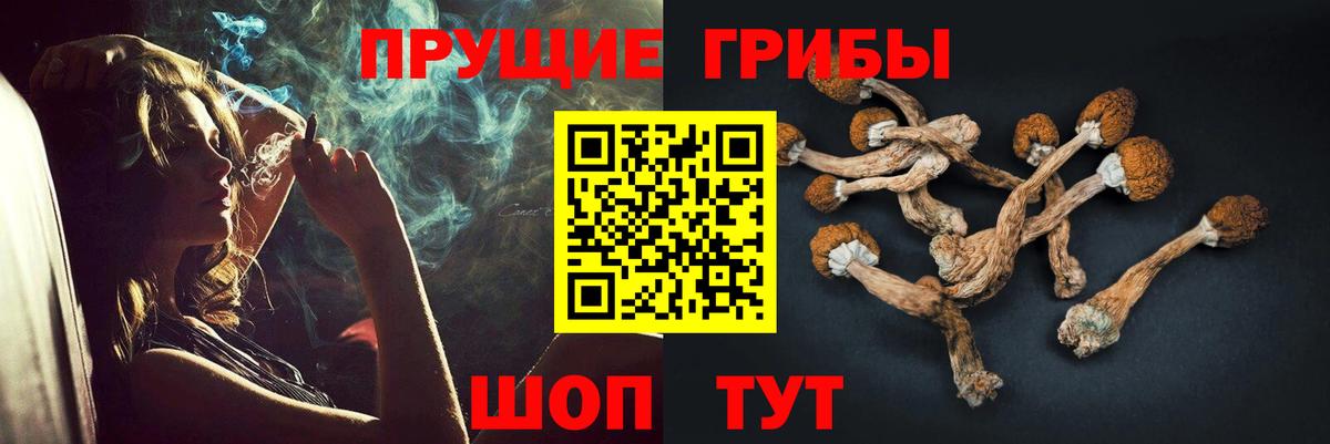 Псилоцибиновые грибы Psilocybine cubensis Ижевск